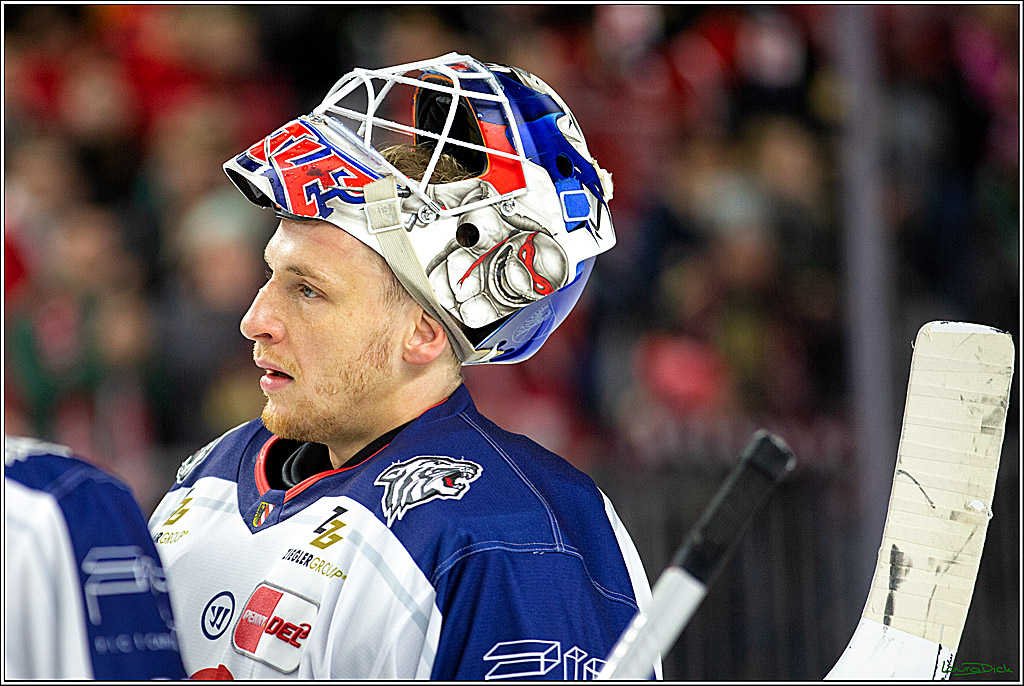 PENNY DEL; Koelner Haie- Nuernberger Ice Tigers; Koeln, 29.01.2023